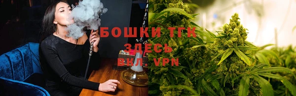 спиды Сафоново