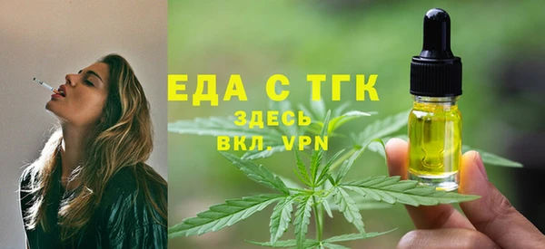 индика Дмитриев