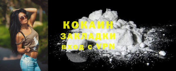гашик Гусев