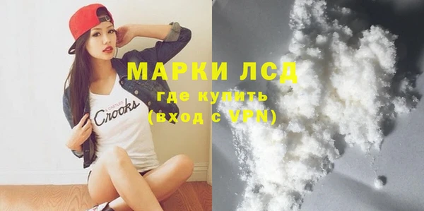 гашик Гусев