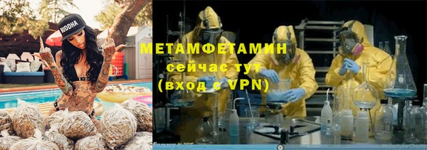 индика Дмитриев
