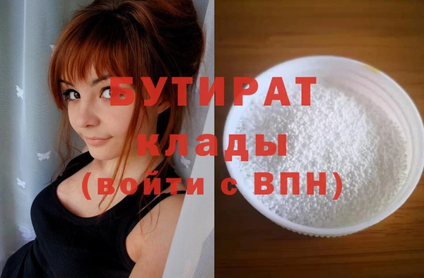 индика Дмитриев