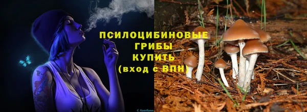 амф Саяногорск