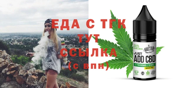 индика Дмитриев