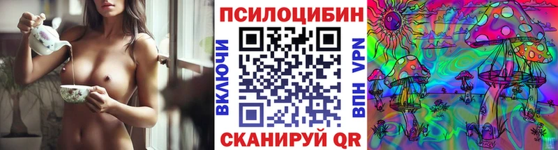 Галлюциногенные грибы Psilocybe  Новый Оскол 